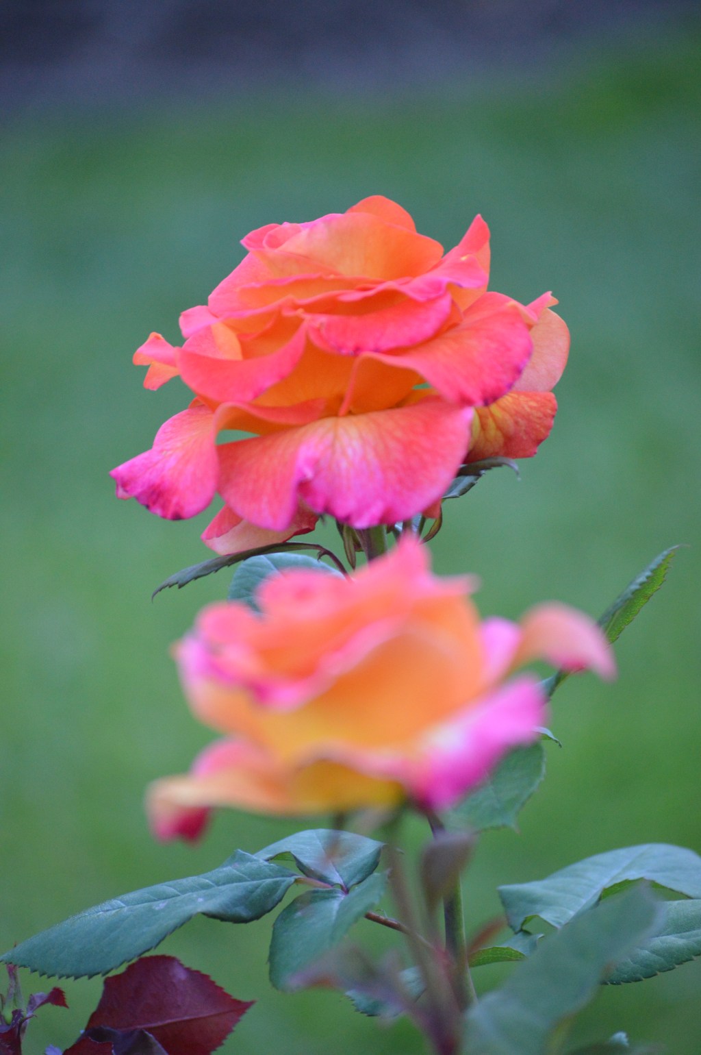 9 Ways To Keep The Negativity Away