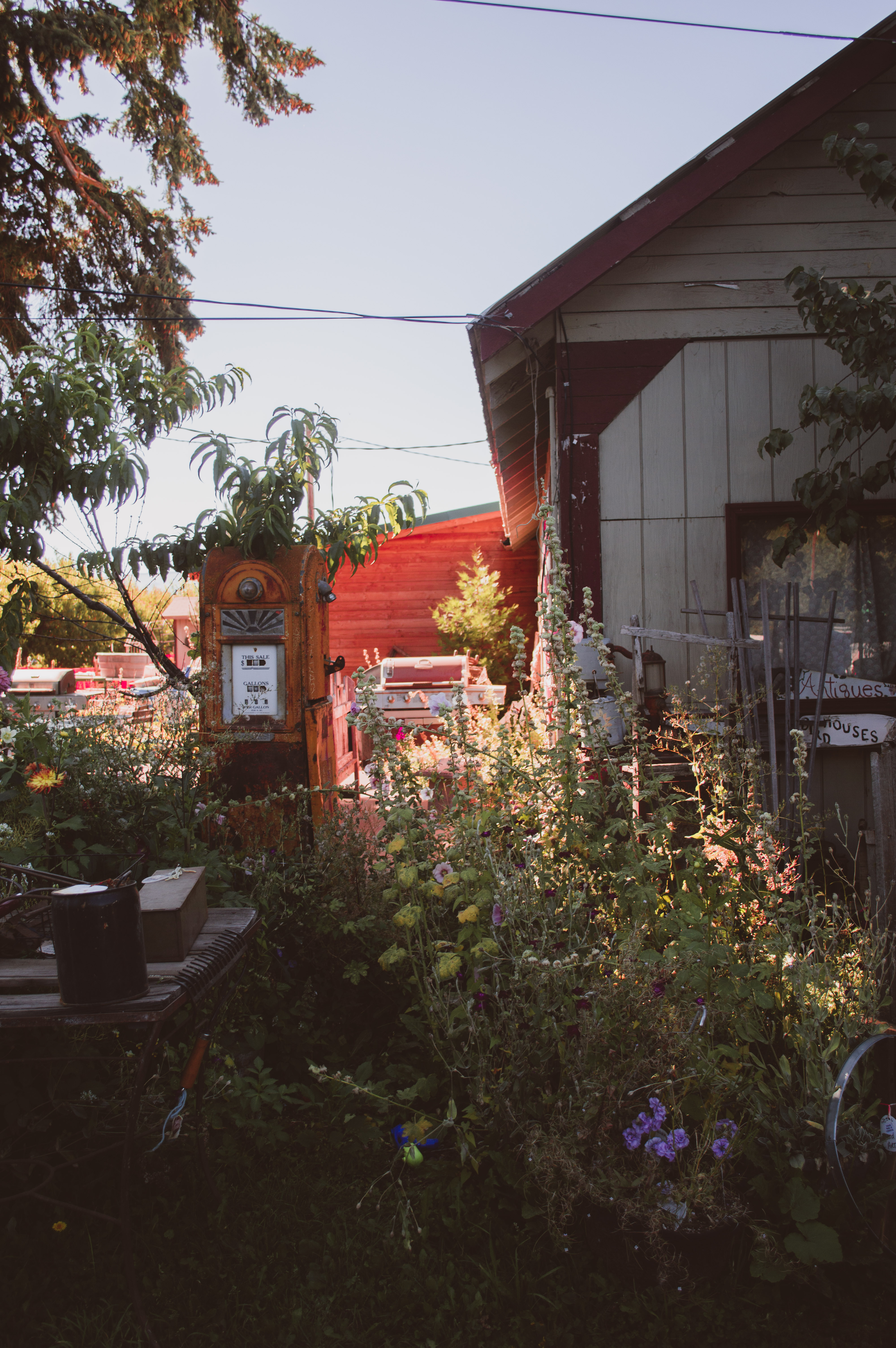 Draper Girls Country Farm in Hood River, Oregon