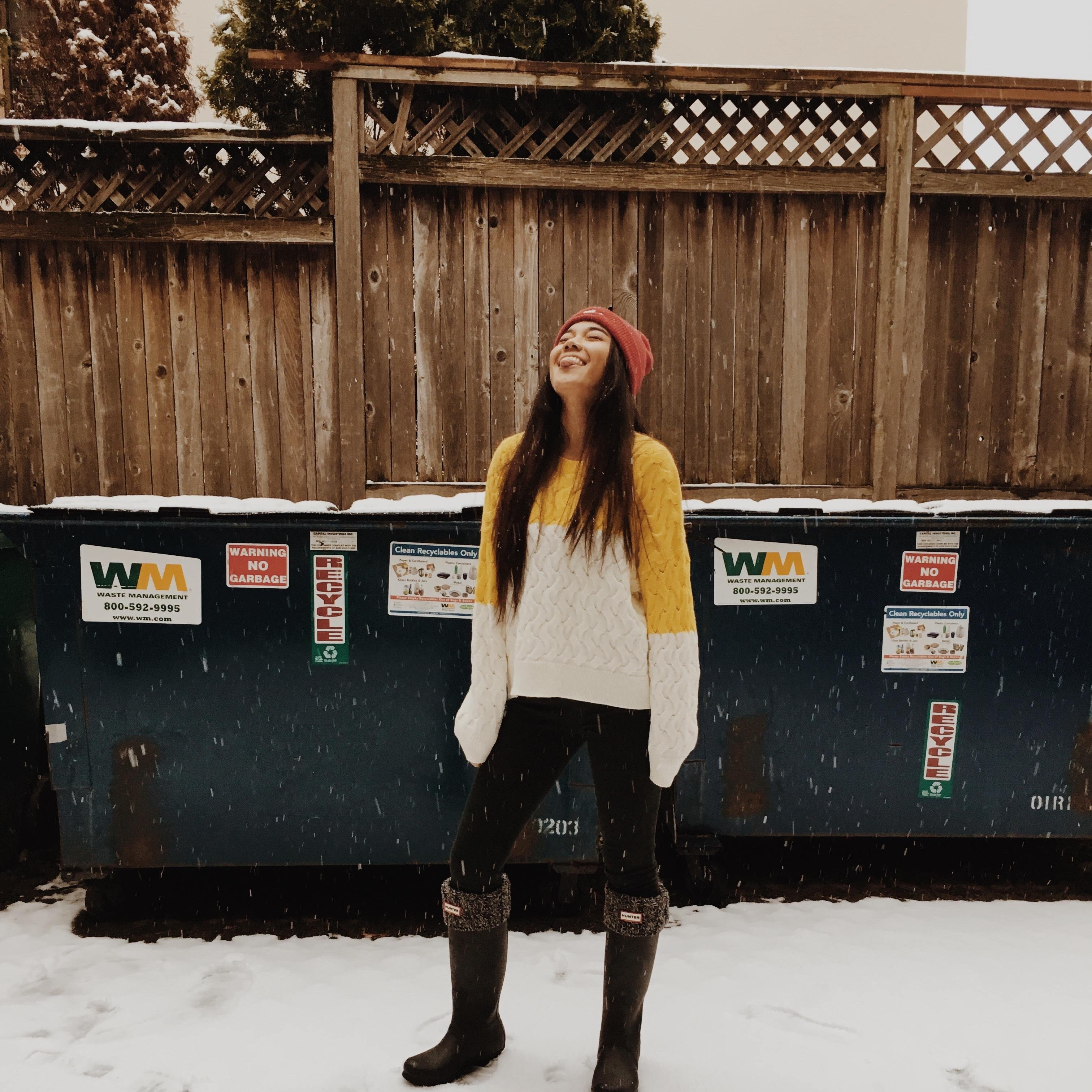 Seattle "Snow Storm" 2019